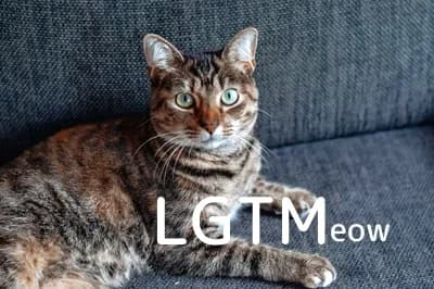 LGTM image