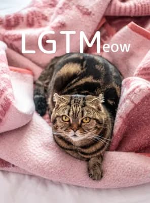 LGTM image