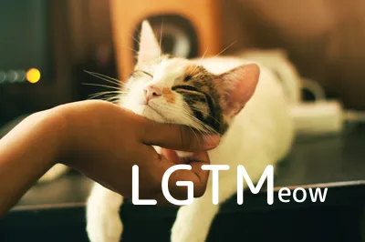 LGTM image