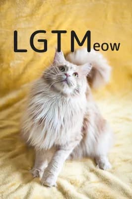 LGTM image