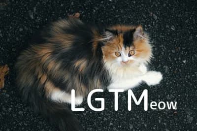 LGTM image