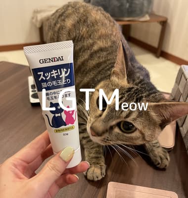 lgtm-cat-image