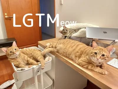 LGTM image