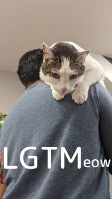 LGTM image