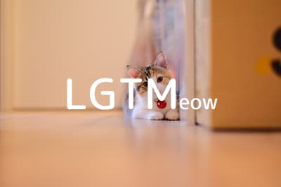 lgtm-cat-image