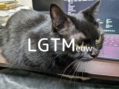 lgtm-cat-image