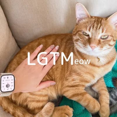 LGTM image