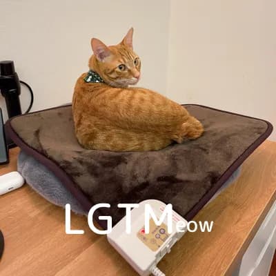 LGTM image