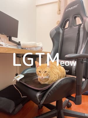 lgtm-cat-image