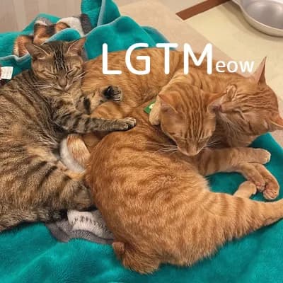 LGTM image