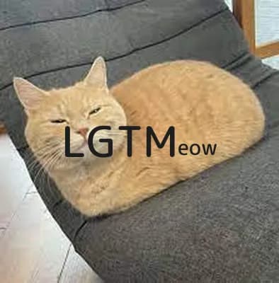 LGTM image