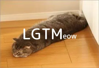 LGTM image