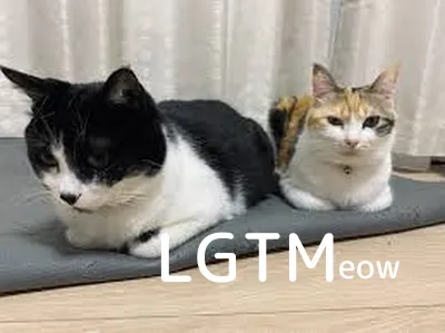 LGTM image