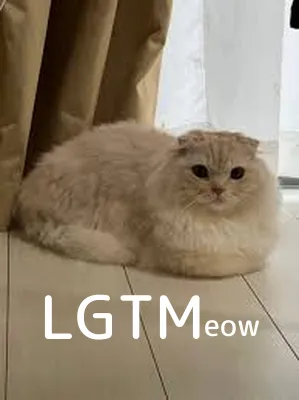 LGTM image