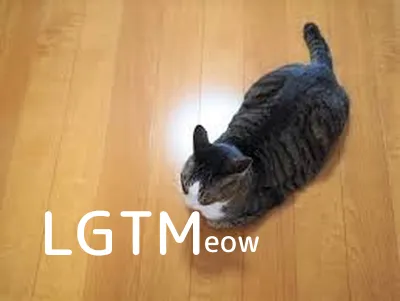LGTM image