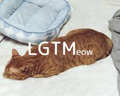 LGTM image
