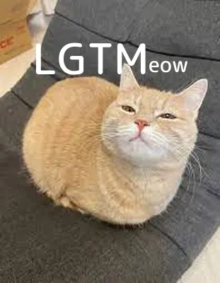 LGTM image