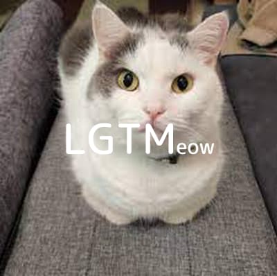 lgtm-cat-image