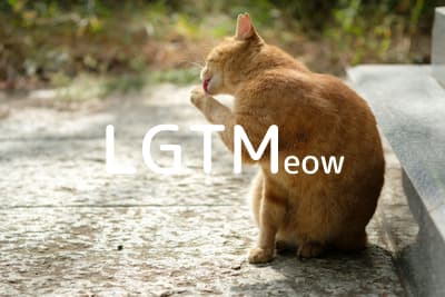 lgtm-cat-image