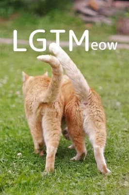 LGTM image