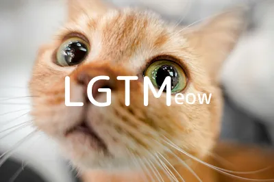 LGTM image