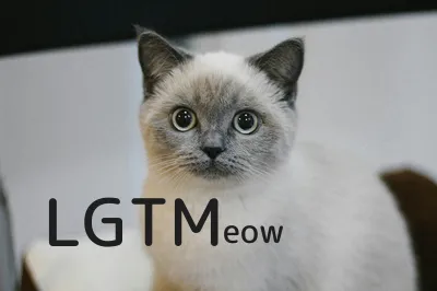 LGTM image