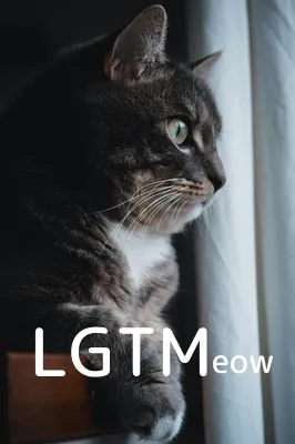 LGTM image