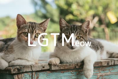 LGTM image