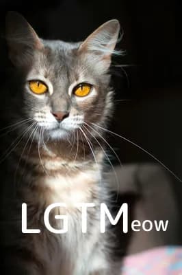 LGTM image
