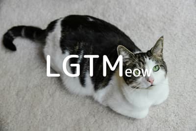 lgtm-cat-image