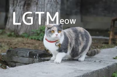 LGTM image