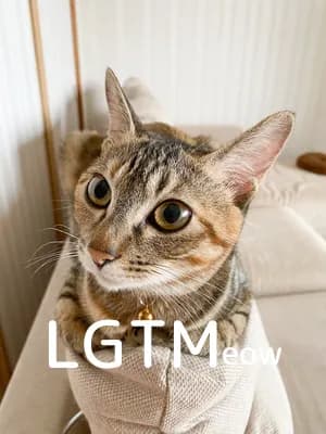 LGTM image