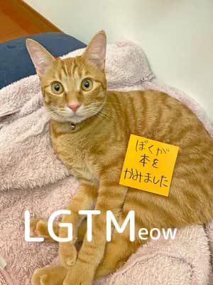 LGTM image