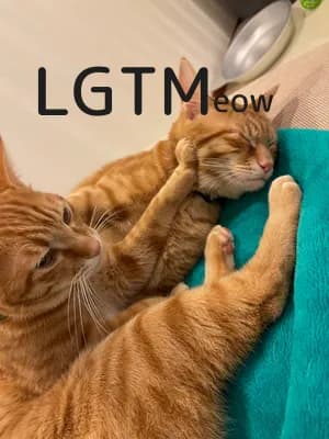 LGTM image