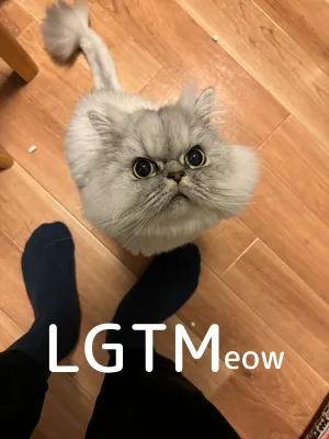 LGTM image