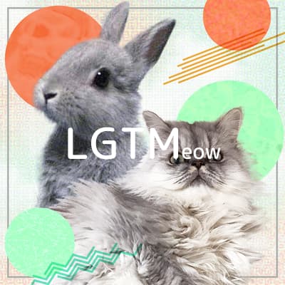 LGTM image