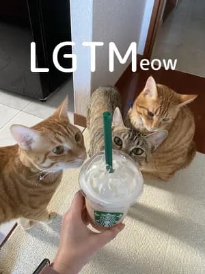 LGTM image