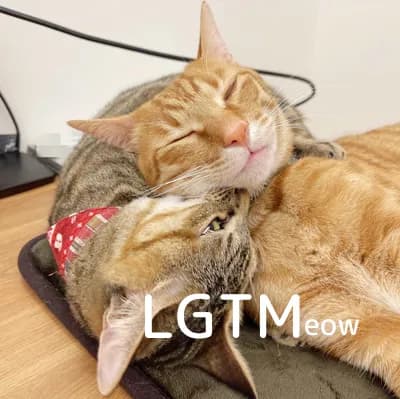 LGTM image
