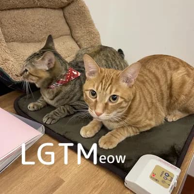 LGTM image
