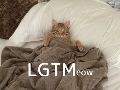 LGTM image