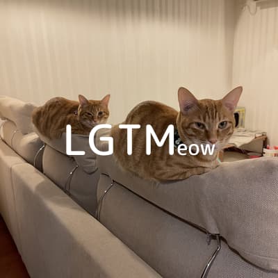 lgtm-cat-image
