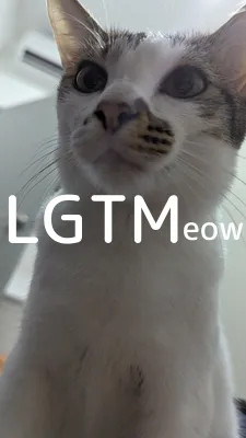 LGTM image