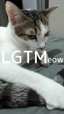LGTM image