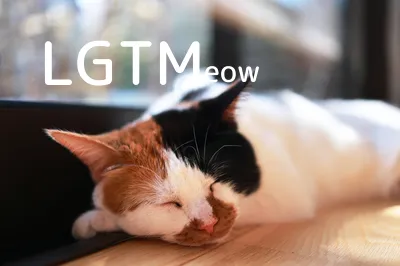 LGTM image