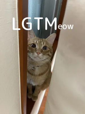 LGTM image