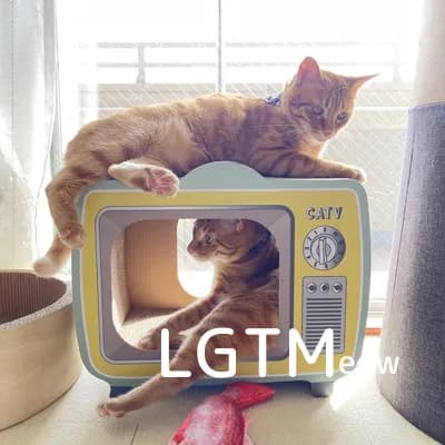 LGTM image