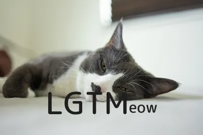 LGTM image