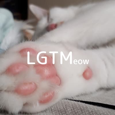 lgtm-cat-image