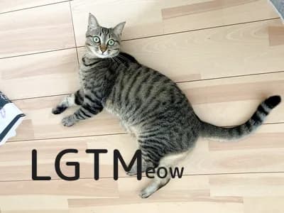 LGTM image