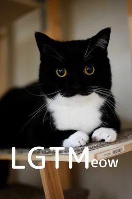LGTM image